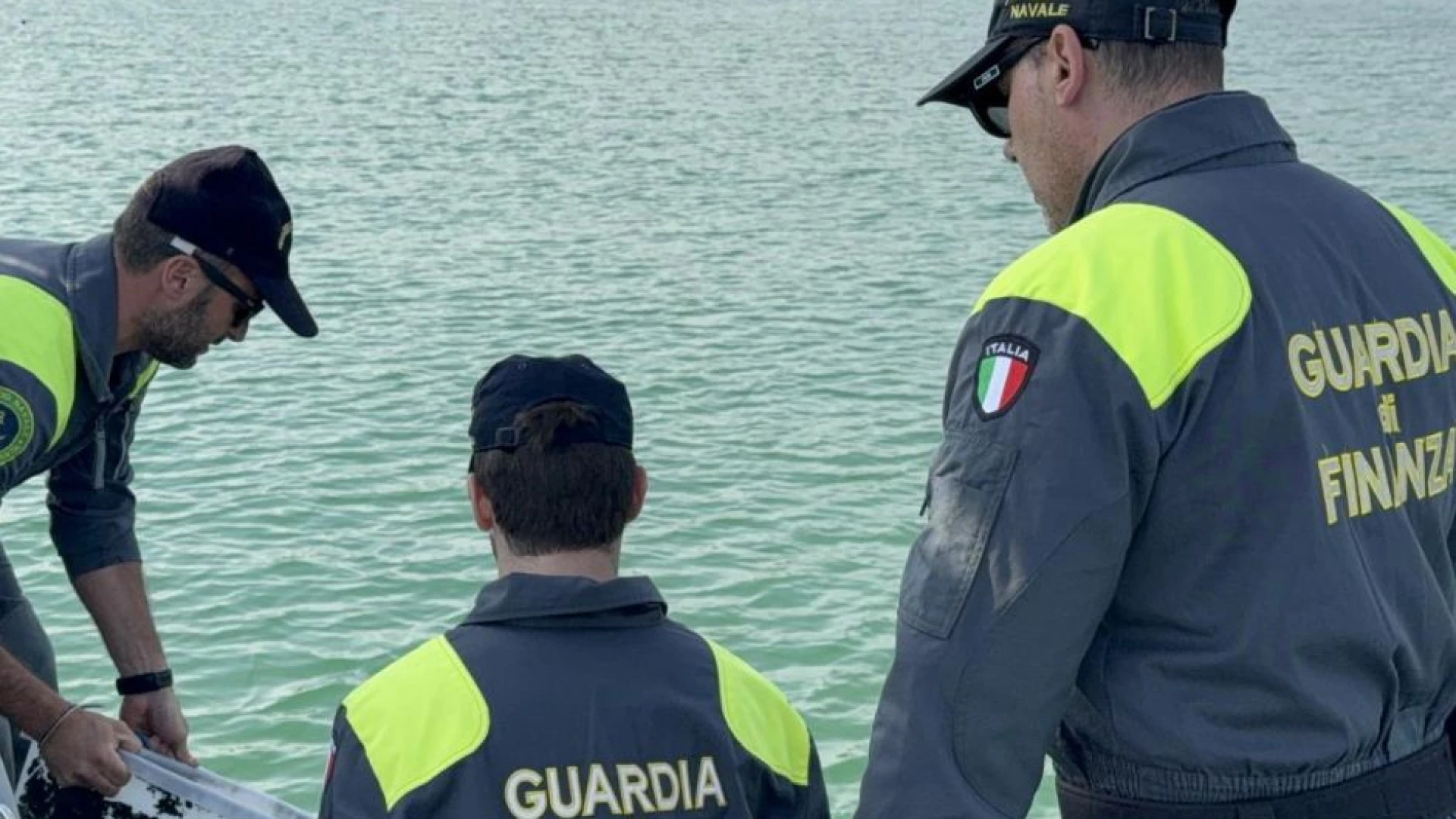 La Guardia di Finanza Roan di Termoli sequestra ricci di mare pescati illegalmente.